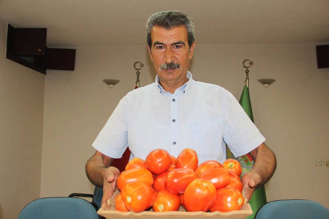 Tarlada 1,7 TL olan domatesin pazardaki fiyatı 'Pes' dedirtti! Üretici isyanda, hiç kimse kazanmıyor 10